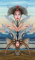 Ange Volant
