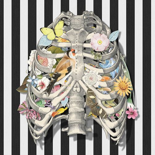 The Nature of Things