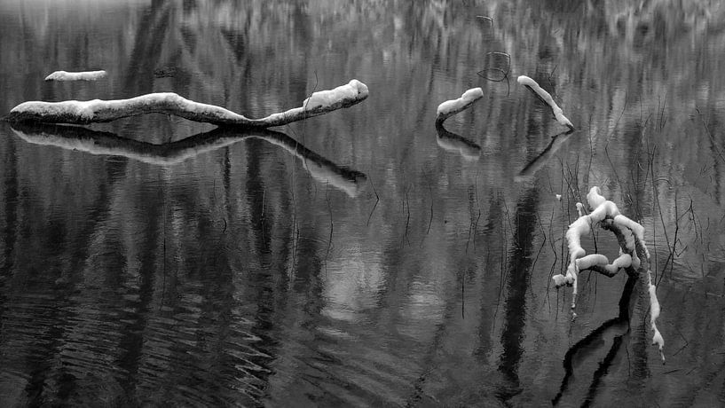 Astfragmente spiegeln sich im Teich von Flatfield