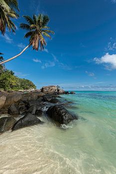 Die Seychellen - Mahé - Anse Royale