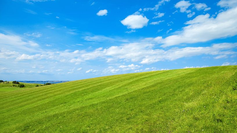 Groen gras van Bo Valentino
