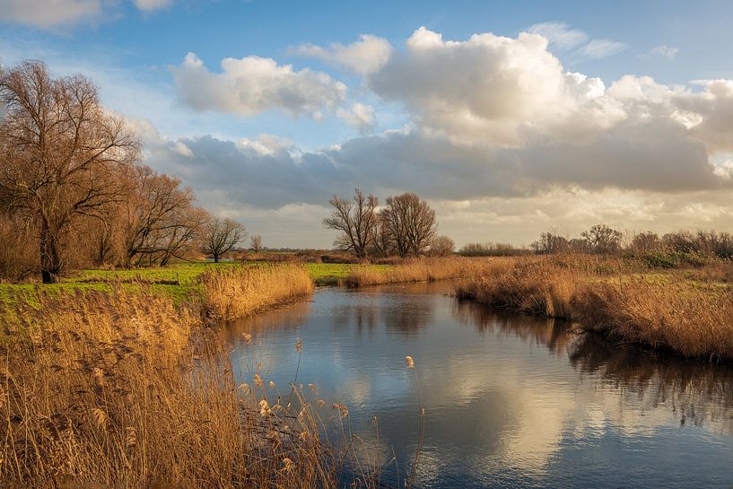 Niederländischer Himmel über dem Nationalpark De Biesbosch von Ruud Morijn