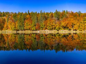 Die Farben des Herbstes am Riessersee, 