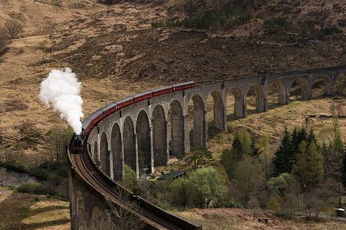 The Hogwarts Express