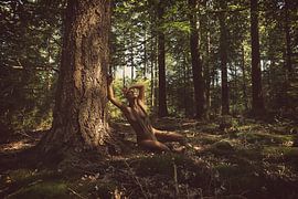 Touch Wood sur Kees de Knegt