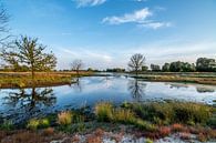 Bargerveen van Foto-Kiers thumbnail