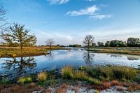 Bargerveen