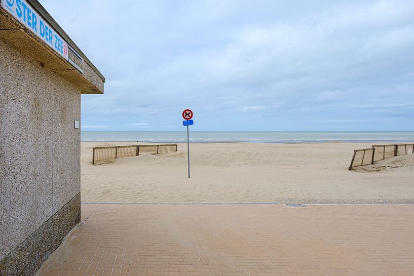 Stern des Meeres von Johan Vanbockryck