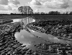 La boue dans le polder