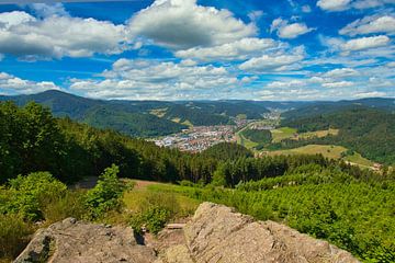 Landschaft im Kinzigtal im Schwarzwald von Tanja Voigt