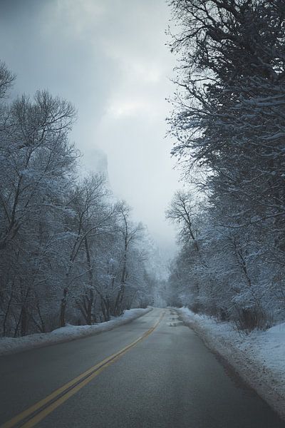 Winter Vibes by Hello Pompoyo