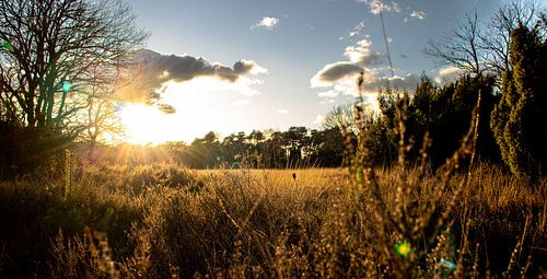 Paysage néerlandais