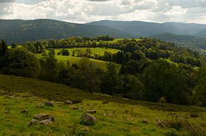 Vosges von Wim Slootweg