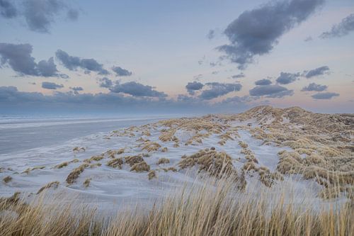 Wat een eilandpracht op Terschelling!