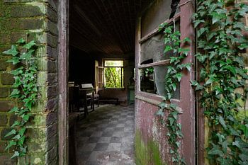 Overgrown door with ivy