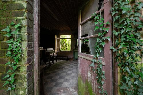 Overgrown door with ivy