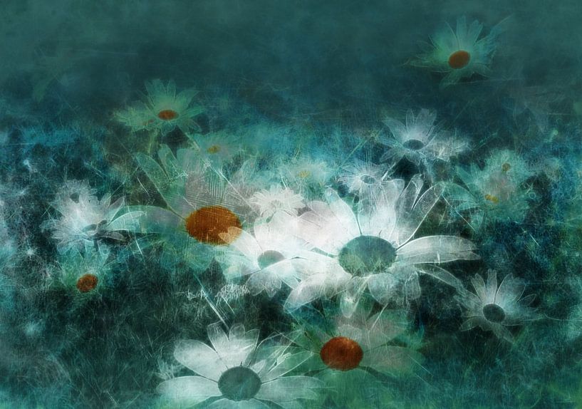 Daisies with green background by Claudia Gründler