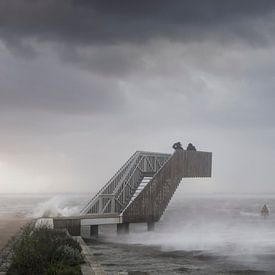 Tempête Eunice sur Wesley Heyne