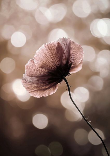 Bokeh-Sinfonie in Braun und Altrosa von Bianca ter Riet