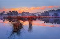 Zonsopgang met blauwe hemel en dramatische wolken weerspiegeld in een lake_1 van Tony Vingerhoets thumbnail