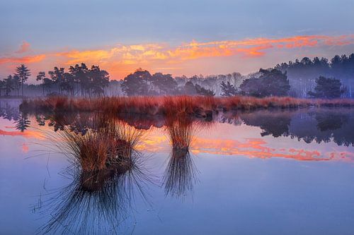 Sunrise with blue sky and dramatic clouds reflected in a lake_1 by Tony Vingerhoets