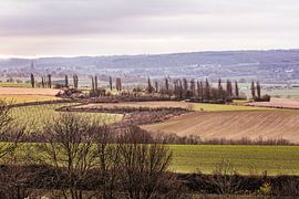 Little Tuscany by Rob Boon