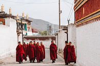 Tibetaanse monniken van Your Travel Reporter thumbnail