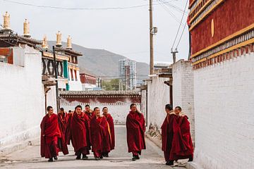 Tibetaanse monniken van Your Travel Reporter
