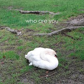 WHO'''S NEXT by Jack Wilms