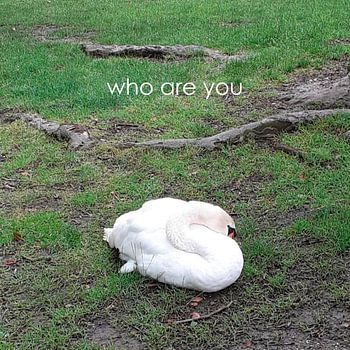 Wer ist der Nächste'?