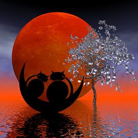 Mooncats - sie träumen vom Mond von Isa Bild