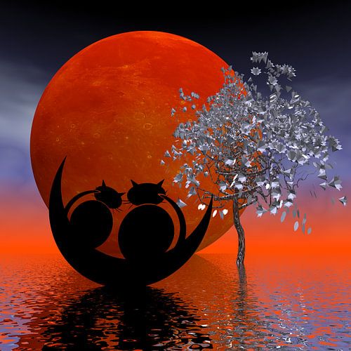 Mooncats – ze dromen van de maan