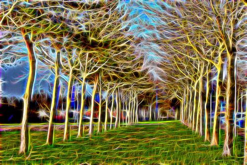Neonbomen (brandende bomen)