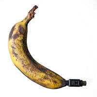 The modern banana