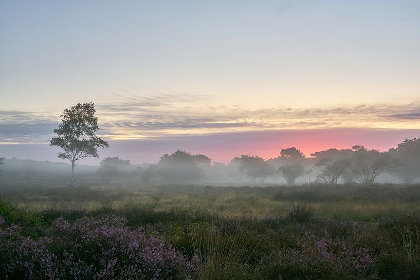 Dawn on the moors by Ad Jekel