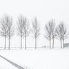 Nederlands sneeuwlandschap met weg en bomen van Hilda Weges