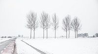Niederländische verschneite Landschaft mit Straße und Bäumen von Hilda Weges Miniaturansicht