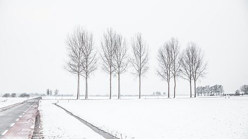 Nederlands sneeuwlandschap met weg en bomen