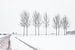 Niederländische verschneite Landschaft mit Straße und Bäumen von Hilda Weges