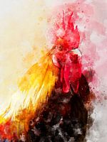 cock