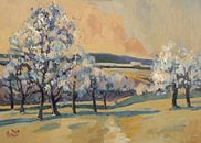 Warm spring sunlight in the orchard by Nop Briex thumbnail