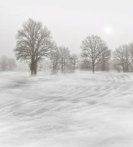 Een mistige winterochtend van Corinne Welp