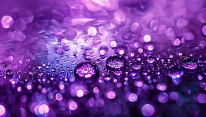 Panorama de la pluie violette