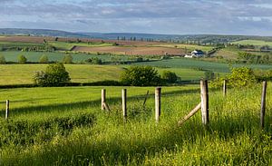 Tuscan Limburg, Niederlande