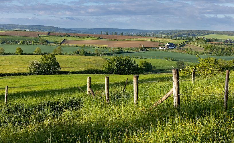 Tuscan Limburg, Niederlande von Adelheid Smitt