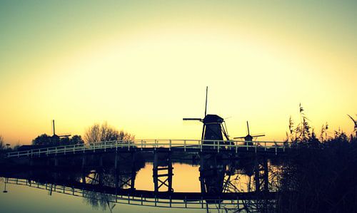 Wind mills by Francisco de Almeida