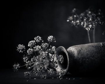 Gedroogde bloemen, gedroogde berenklauw met liggende vaas. van Henk Van Nunen Fotografie