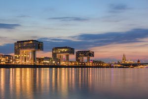 Kranhäuser in Köln am Abend