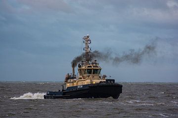 Sleepboot Triton aan het werk op zee bij IJmuiden. van scheepskijkerhavenfotografie