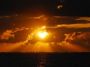 Love is in the air...